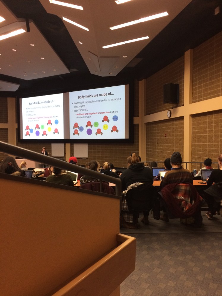 A53696B6-2BAC-48D0-BA36-996558BC75EC